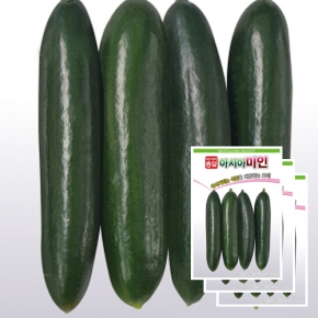 아시아종묘 오이씨앗종자 아시아미인오이 (50립x3)
