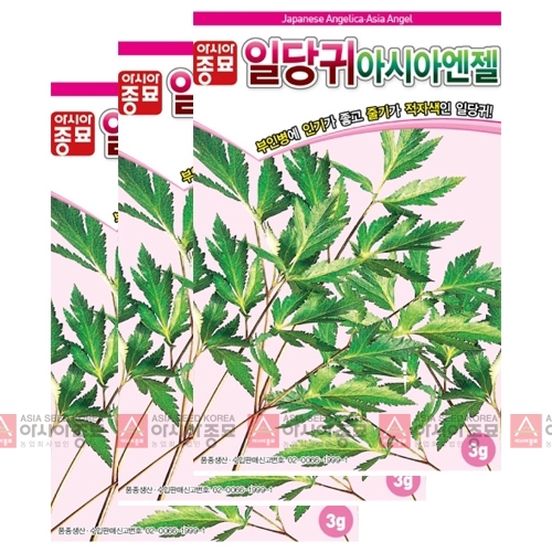 아시아종묘 당귀씨앗종자 일당귀(3gx3)