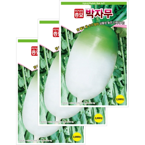 아시아종묘 무씨앗종자 박자무(2000립x3)