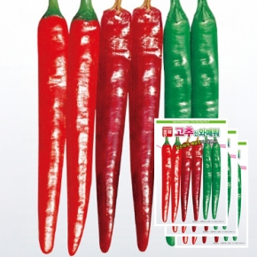 고추씨앗종자 신와매워(30립x3)
