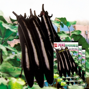 (가지씨앗종자) 아시아 흑장가지(200립X3)