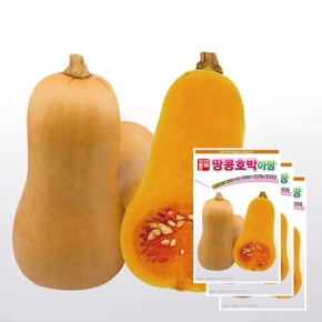 아시아종묘 호박씨앗종자 땅콩호박아땅(10립x3)