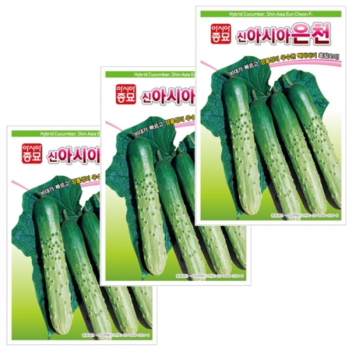 아시아종묘 오이씨앗종자 신아시아은천백다다기 오이(50립x3)