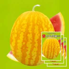 아시아종묘 수박씨앗종자 조생노란꿀 수박(10립x3)