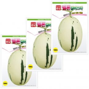 아시아종묘 멜론씨앗종자 실버스타(10립x3)