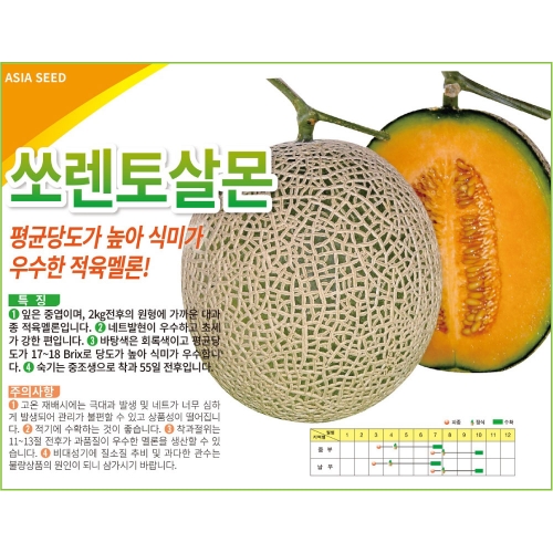 아시아종묘 멜론씨앗종자 쏘렌토살몬(10립,10립x3)