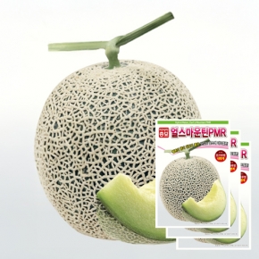 아시아종묘 멜론씨앗종자 얼스마운틴피엠알(10립x3)