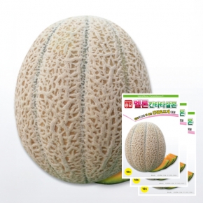 아시아종묘 멜론씨앗종자 칸타타살몬(10립x3)