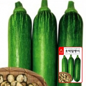 아시아종묘 호박씨앗종자 호박말랭이(20립,20립x3)