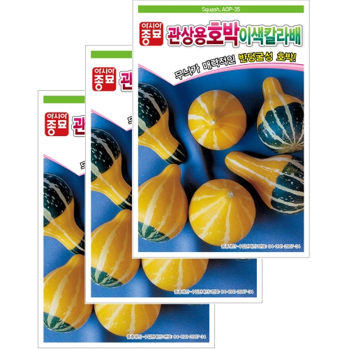 아시아종묘 관상용호박씨앗종자 이색칼라배 호박(10립x3)