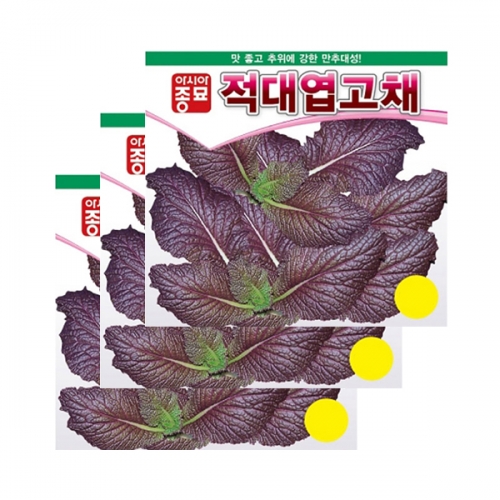 아시아종묘 겨자종자씨앗 적겨자-적대엽고채(10gx3) 전문농가용