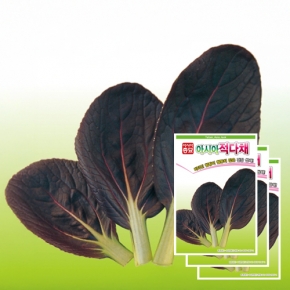 아시아종묘 다채씨앗종자 적다채(1000립x3)