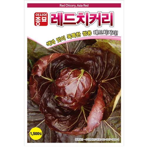 아시아종묘 치커리종자씨앗 레드치커리-적쌈이(1500립,1500립x3)