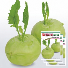 콜라비씨앗종자 그린콜(100립x3) 청콜라비 전문농가용