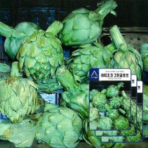 아시아종묘 아티초크 씨앗종자 아티쵸크.그린글로브(10gx3)