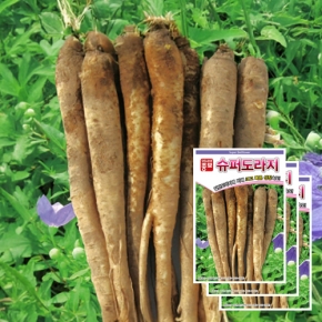 도라지씨앗종자 슈퍼도라지(6gx3)