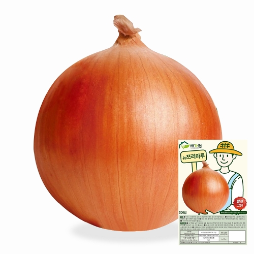 아시아종묘/양파씨앗종자 뉴쯔리마루 펠렛코팅종자 (500립)