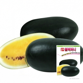 아시아종묘 수박씨앗종자 블랙허니 수박(10립,10립x3,200립)