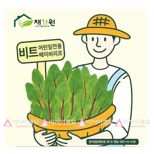 아시아종묘 베이비채소 어린잎전용 비트싹(500g)