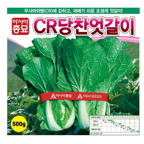 아시아종묘 배추씨앗 CR당찬엇갈이 (500g)