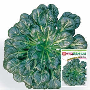 아시아종묘 다채종자씨앗 아시아비타민 다채(600g)