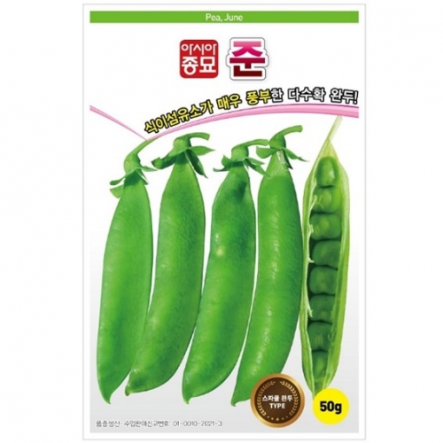 아시아종묘 콩씨앗종자 준(50g) 완두콩