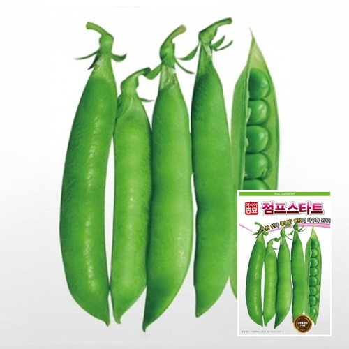 아시아종묘 콩씨앗종자 점프스타트(50g,500g) 완두콩