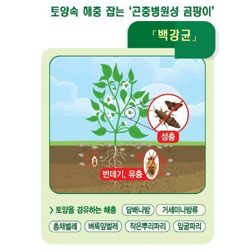 대유 팡싹충싹 (1.5kg / 3kg ) - 유기농업 진딧물 총채벌레 탄저병 뿌리파리 칼라병