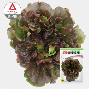 아시아종묘 상추씨앗종자 신적생채 300립