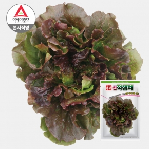 아시아종묘 상추 씨앗 종자 신적생채 6000립