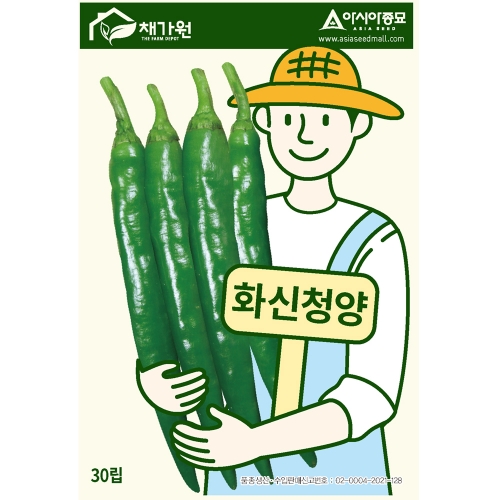 아시아종묘 고추씨앗종자 화신청양(30립,30립x3,1000립)