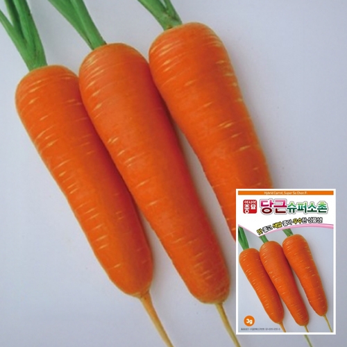 아시아종묘 당근씨앗종자 슈퍼소촌(80g) 봄당근
