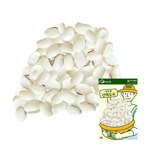 아시아종묘 콩씨앗종자 작두콩 선백도두(5립)