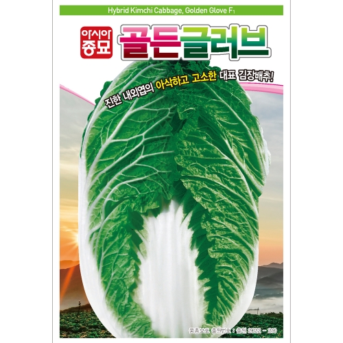 아시아종묘 배추씨앗종자 골든글러브 (100립,1000립,2000립)