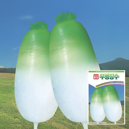 아시아종묘 무씨앗종자 무병장수 (6g,2000립)