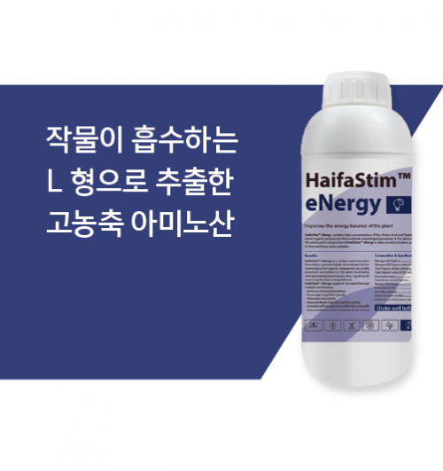 에너지(eNergy) - 1L 고농축 L형 아미노산 유리아미노산 생리활성