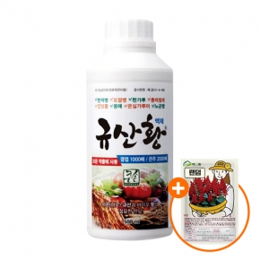 (사은품 증정) 규산황 액제 비료 500ml 이온규산 바이오황