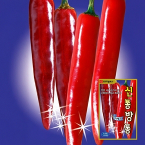 고추씨앗종자 신통방통(1200립)