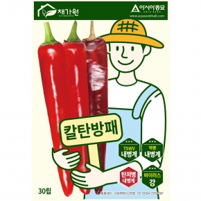 아시아종묘 고추씨앗 칼탄방패 30립