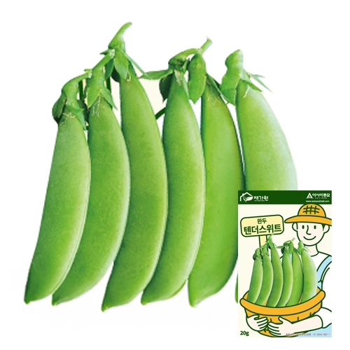 아시아종묘 콩씨앗종자 텐더스위트(20g) 완두콩