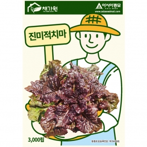 아시아종묘 상추종자씨앗 진미적치마(3000립)