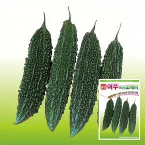 아시아종묘 여주씨앗 종자 아시아도깨비 100립