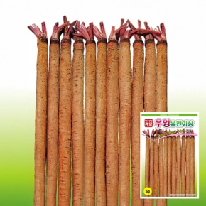 아시아종묘 우엉씨앗종자 뿌리우엉 유천이상(5g)