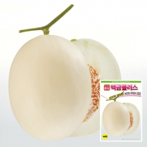 아시아종묘 멜론씨앗종자 백금플러스 (100립)