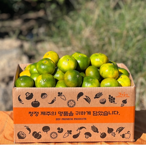 (생물) 타이벡 감귤 (3kg,5kg,10kg) 제주직송 C40