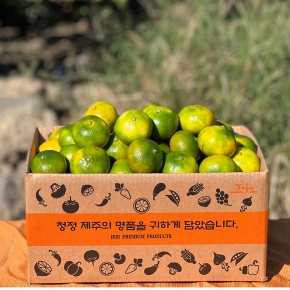 (생물) 타이벡 감귤 (3kg,5kg,10kg) 제주직송 C40