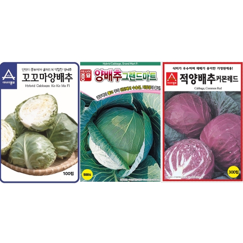 아시아종묘 양배추 씨앗종자 3종세트 (꼬꼬마,그랜드마트,커몬레드)