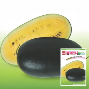 아시아종묘 수박씨앗종자 블랙허니플러스 수박(10립)