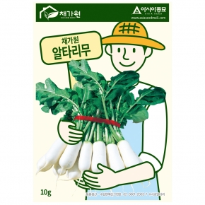 아시아종묘 무씨앗종자 채가원 알타리무 10g