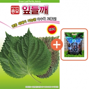 아시아종묘 씨앗 들깨 잎들깨 10g + 코코피트 플러스 5L